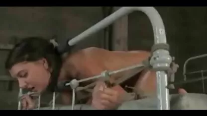 Bukdácsoló ingyen családi szex videók Szórakoztató